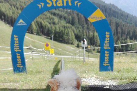 Netti im Sommer-Funpark Fiss