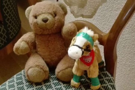 Netti macht Fitness in Serfaus