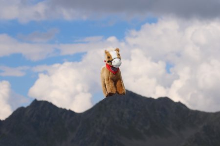 Netti ganz hoch hinaus in den Tiroler Bergen