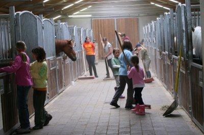 stall_darrehof.jpg