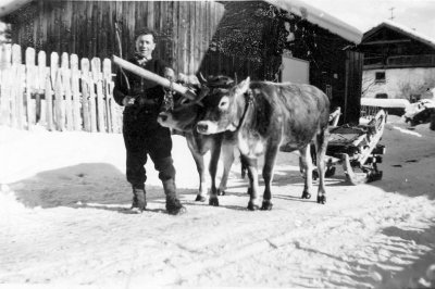 03a_darrehof_serfaus_bauernhof_gespann.jpg