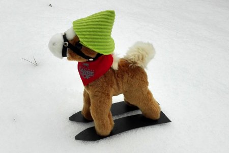 In Serfaus hat’s geschneit – Netti freut sich!