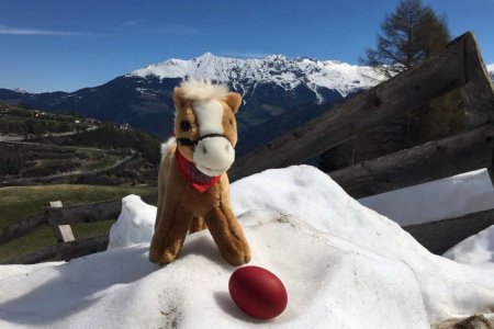 Netti beim Ostereiersuchen