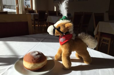 fasching02.jpg