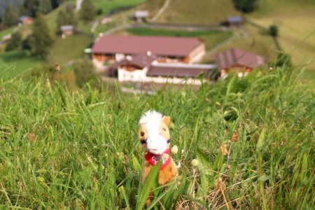 Netti träumt vom Sommer