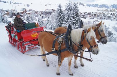 01b_darrehof_serfaus_winter_pferdeschlitten.jpg