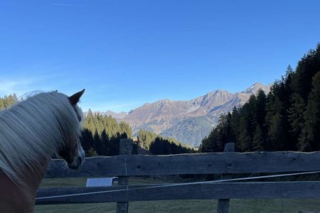 Familien- & Naturhotel Darrehof | Wellnessbereich