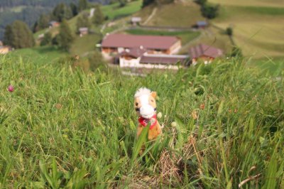 Darrehof | Plüschpferd Netti