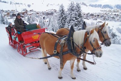 Kutschenfahrt am Darrehof