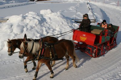 kutsche02.jpg