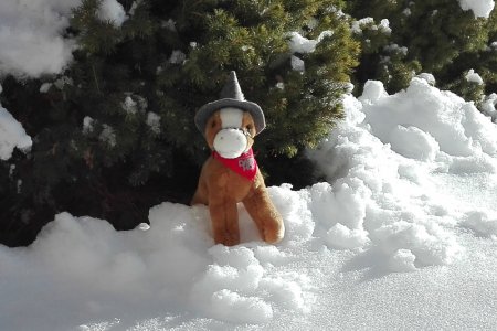 Winterwandern mit Netti
