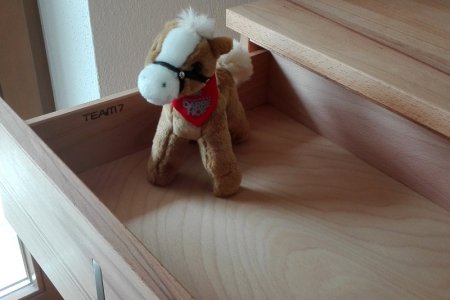 Netti hilft den Tischlern von Team 7