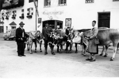 5_landwirtschaft_tirol.jpg