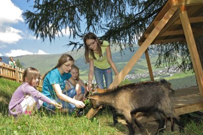 gut_darrehof_serfaus_kinder_ziegen.jpg
