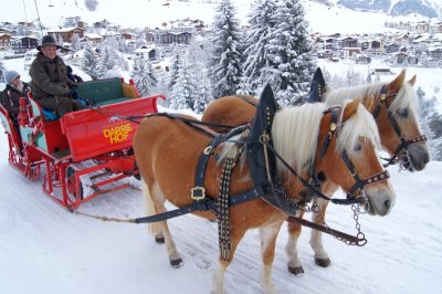 kutsche04.jpg