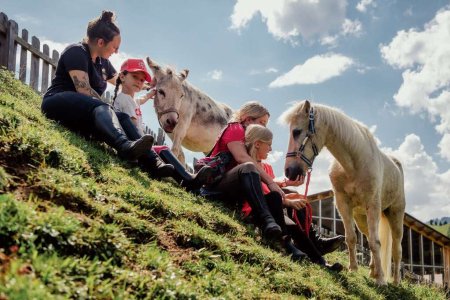 Darrehof | Familienhit im Frühling