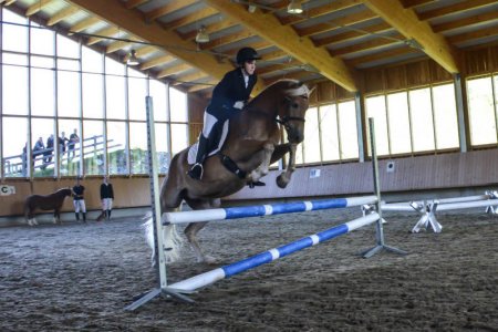 Netti in der Springstunde