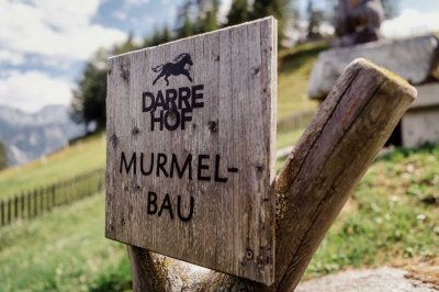 darrehof_serfaus_erlebnisbauernhof_murmelbau.jpg