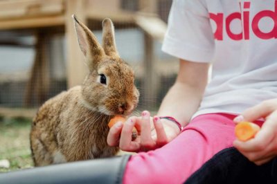 gut_darrehof_serfaus_familie_hase.jpg