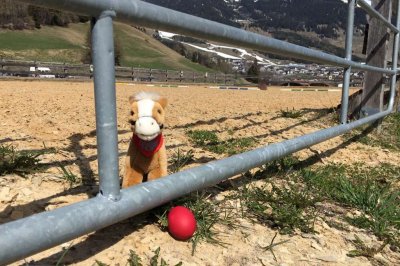 ostern03.jpg
