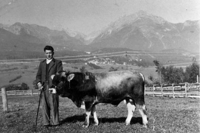 01c_darrehof_serfaus_stier.jpg